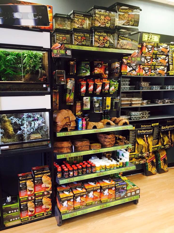 Reptile Supplies