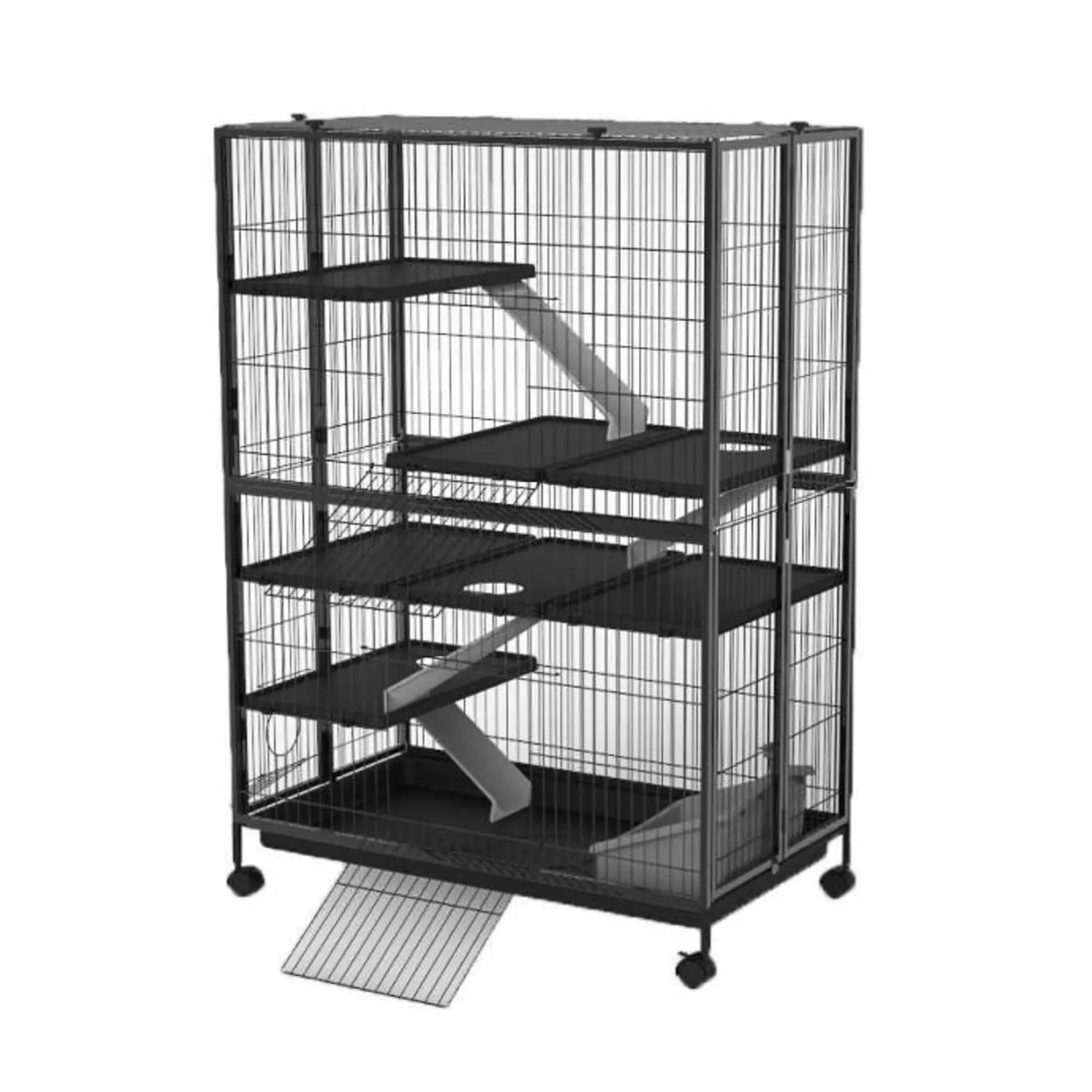 Mammal Habitats/Homes