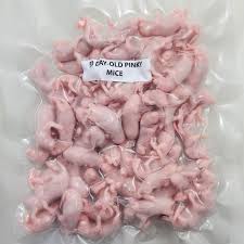 Frozen Feeder Mice