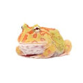 Pacman Frog