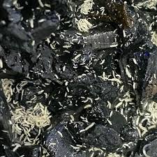 Springtails Tropical White Colony 8oz