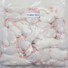 Frozen Feeder Mice
