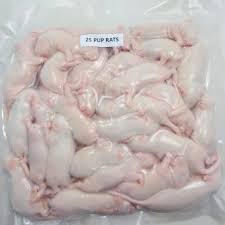 Frozen Feeder Rats