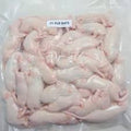 Frozen Feeder Rats